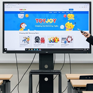 토이조이 성인용품 도매 기반 창업 전략｜재고·위탁·브랜딩 완벽 가이드